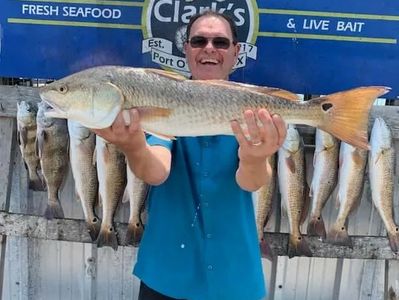 Nice redfish