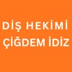 CIGDEM IDIZ