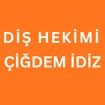 CIGDEM IDIZ