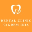 CIGDEM IDIZ