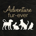 Adventure Fur-ever