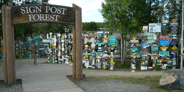 Sign Post Forest