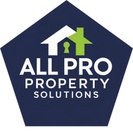 ALL PRO PROPERTY SOLUTIONS LLC