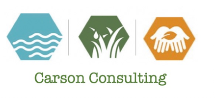 CD Carson Consulting