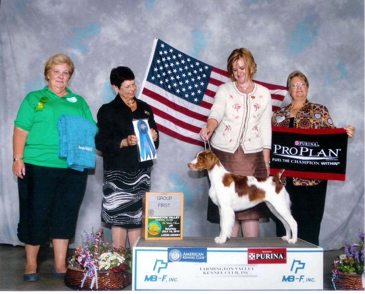 GCH Willowick Talltean "Tally"!! The Matriarch of Fyrebyrd Brittanys.  Breeder/Owner Catherine  Gire