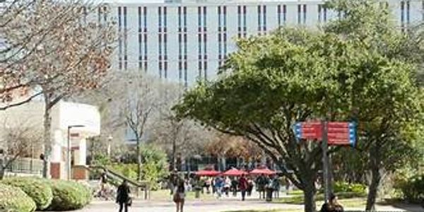A group of people walking on the sidewalk near trees.