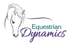 Equestrian Dynamics