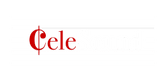 CELESOUND INC.