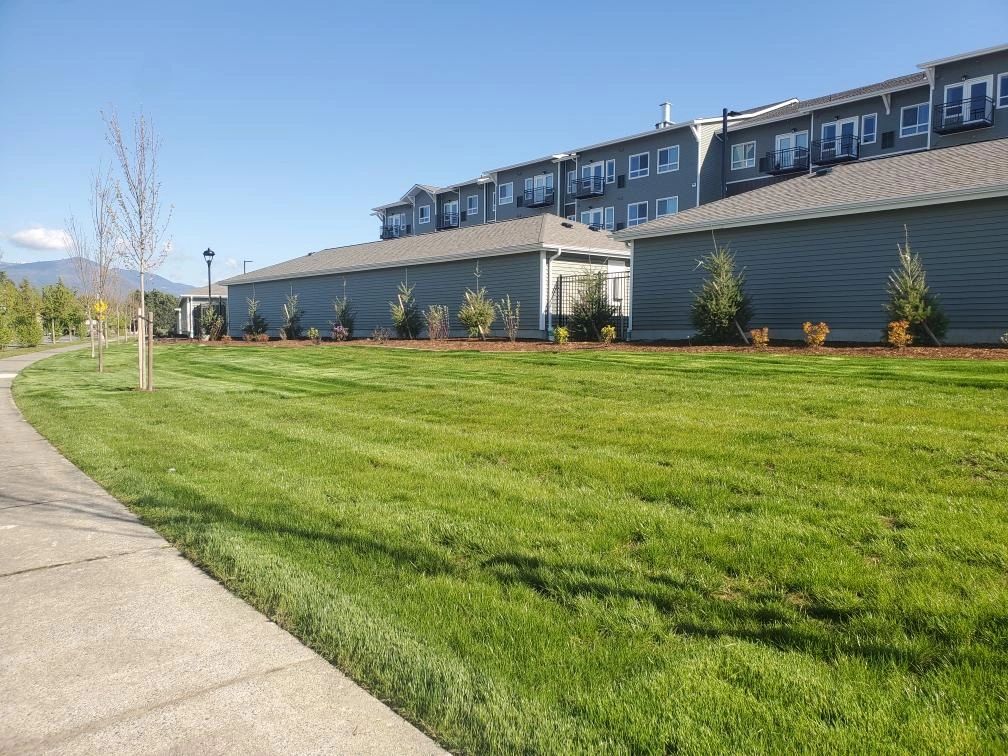 A wide green lawn beside a sidewalk in front of residential buildings on a clear day.