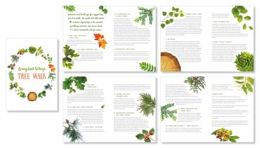 A detailed tree identification guide with illustrations.