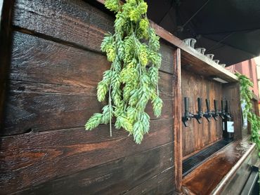 Fresh hops hanging near beer taps on a wooden bar.
