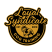 Loyal Syndicate Dog Training