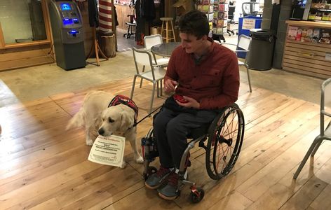 Golden Retriever service dog and handler in wheelchair receive their certification