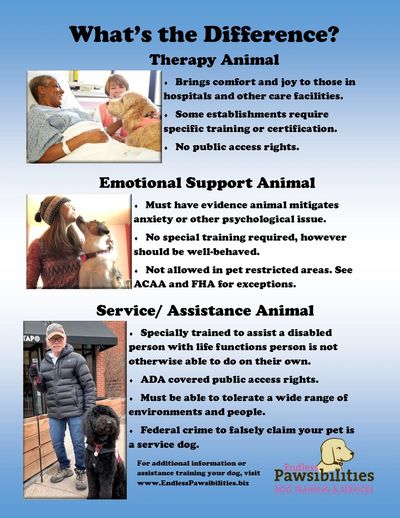 therapy dog, emotional support animal, service dog. assistance dog.