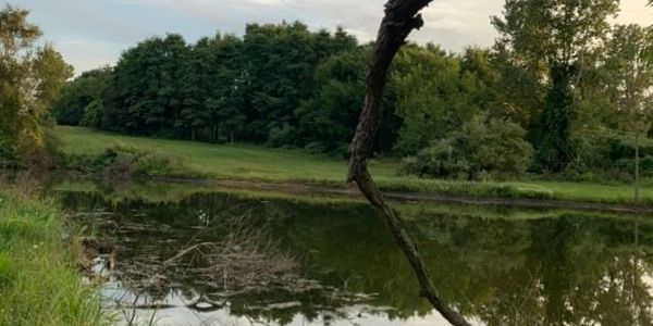 Turkey Hunting in Indiana