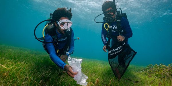 Collecte des déchets- environnement - Dive against debris- nettoyage de l'océan