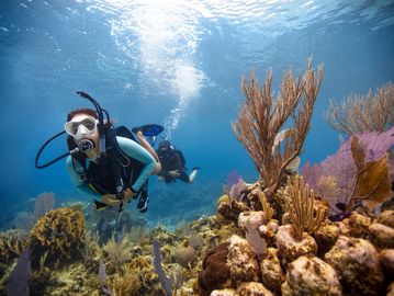 PADI-cours de plongée-sous-marine débutant-open water diver-