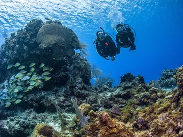 PADI-cours de plongée-sous-marine avancé-advanced-open water diver-