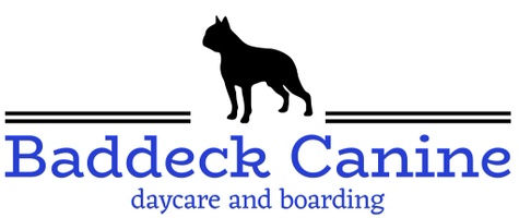 Baddeck Canine 
Daycare and Boarding 