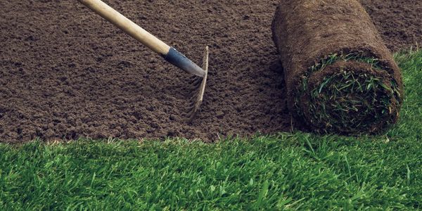 A garden rake on freshly tilled soil next to a rolled-up grass sod.