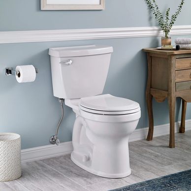 Toilet replacement and upgrades 