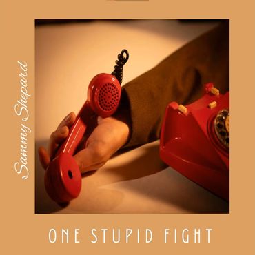 One Stupid Fight - Sammy Shepard