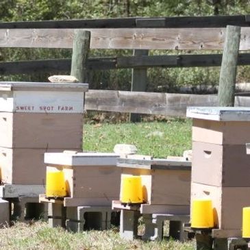 RVS HONEY BEE FARM