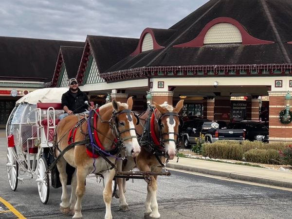 Two horses pulling a white carriage with a driver in front of a large building.