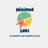 Minimod Labs