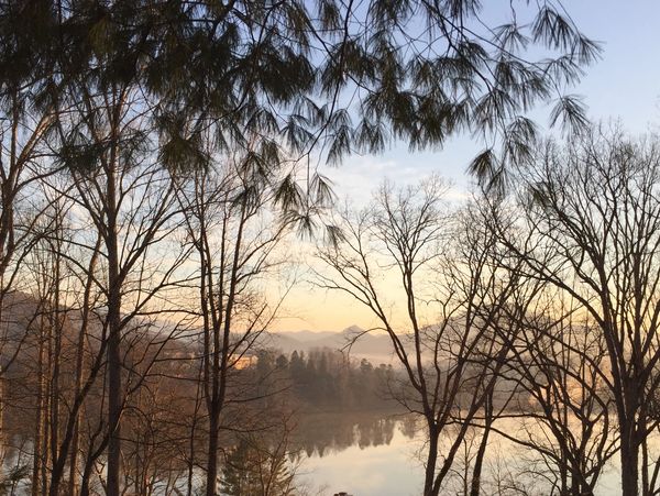 Elevated view of Lake Junaluska through the trees, photographed from deck at Lone Star Retreat # 1