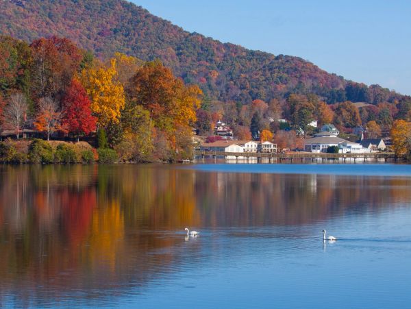 Fall colors, resident swans, and Lake Junaluska Assembly buildings along Lake Junaluska.