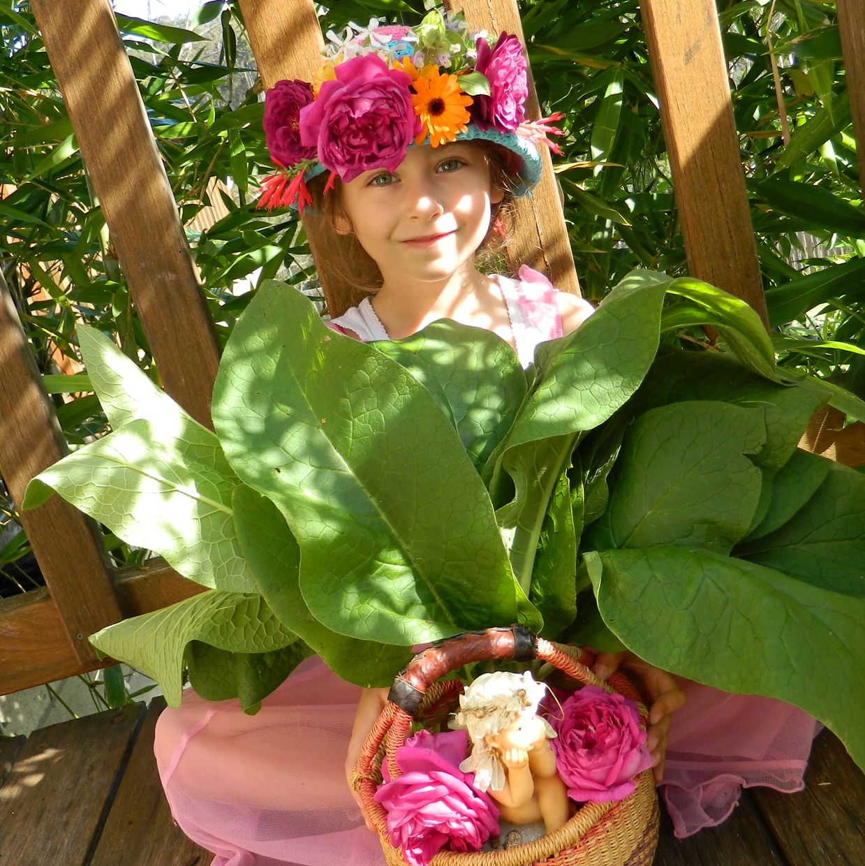 Little Sel n  with a hug full of comfrey