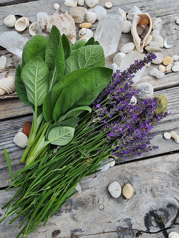 Harvesting our Lavender & Sage to craft Sacred Smoke Smudge Wands