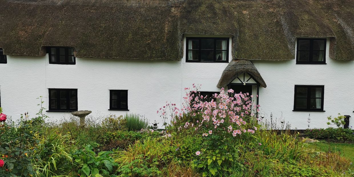 A quaint white cottage with a thatched roof and a colorful flower garden.