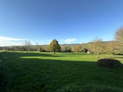 Spacious green field with scattered trees under a clear blue sky.