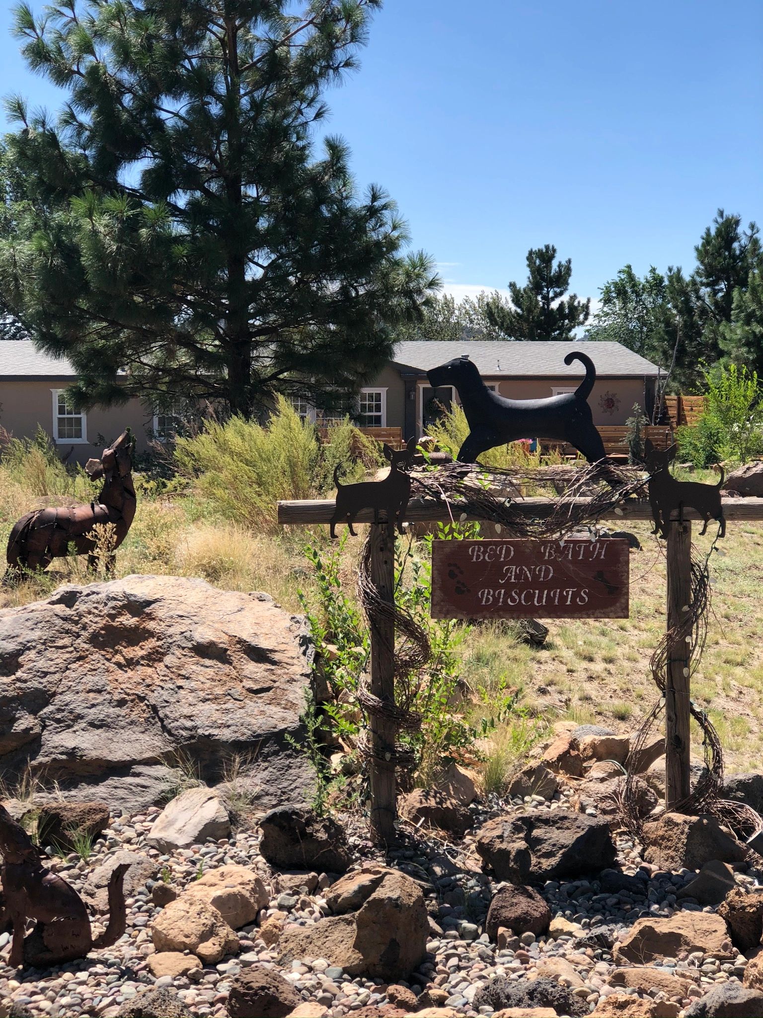 Dog Boarding Bed Bath and Biscuits Pet Resort