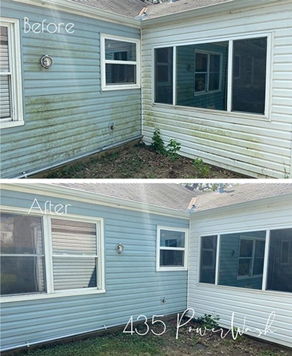 Remove mold on vinyl siding with professional housewash contractor. Soft pressure wash house.