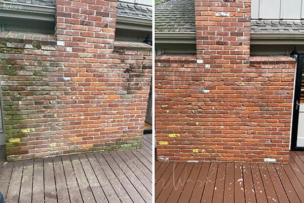 Outdoor brick chimney /  fireplace mold removal.