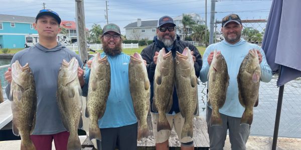 Four men each holding large fish they caught.