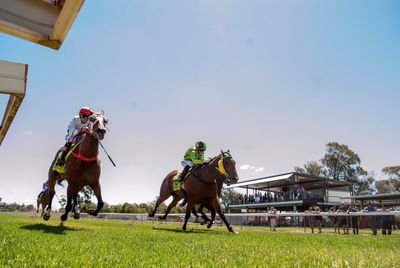 Horses racing at Bunya Parkcourse in Dalby