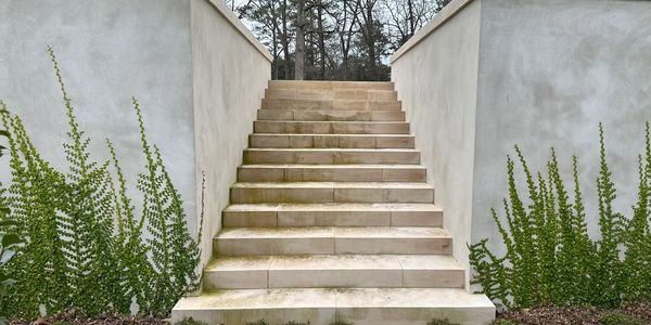Stone stairs with green plants on the sides.