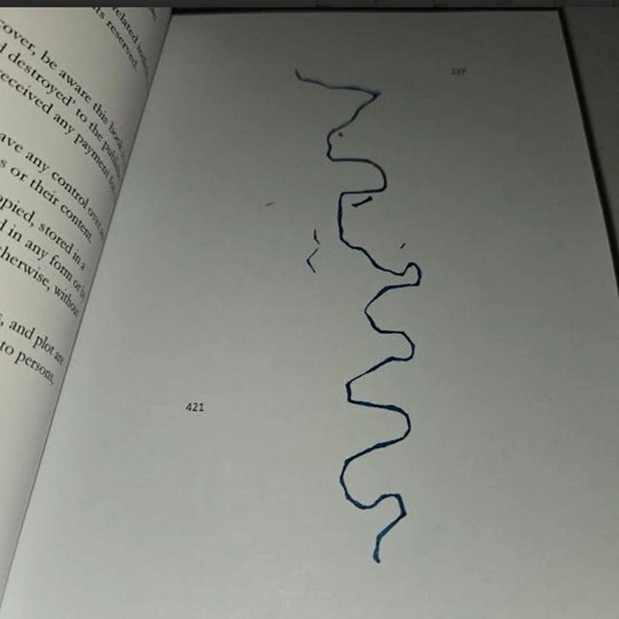 A page from a book with a blue zigzag line drawn.