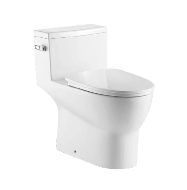ONEPIECE OVAL TOILET WITH SOFT CLOSING SEAT AND DUAL FLUSH HEIGHT 28