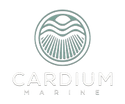 Cardium Marine