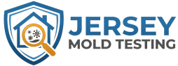 jerseymoldtesting.com
