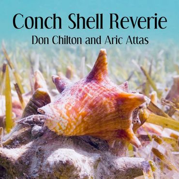 Close-up of a vibrant conch shell on the ocean floor with text overlay.