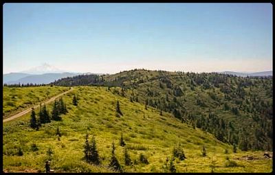 Scenic green hills with a clear blue sky and distant mountains.