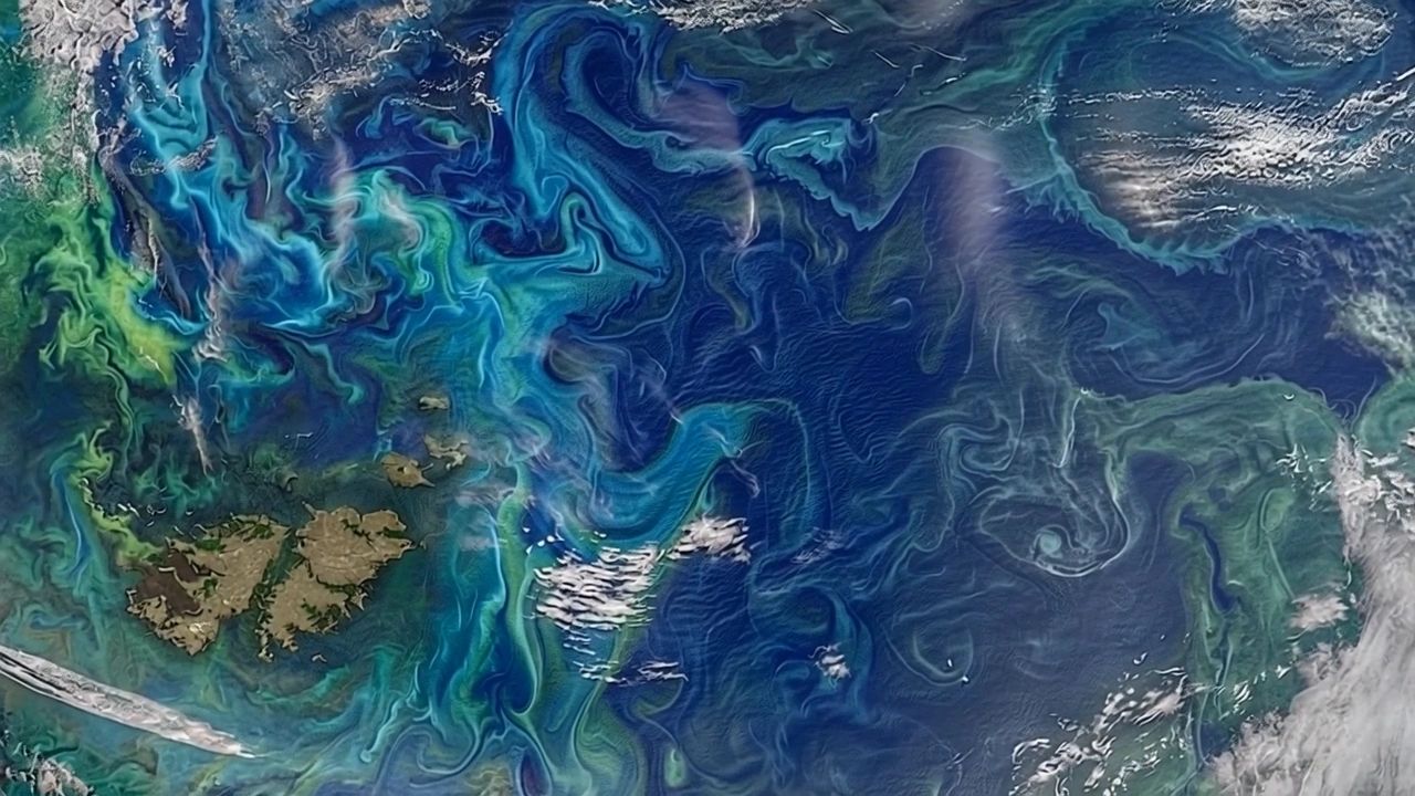 https://img1.wsimg.com/isteam/ip/9d0d0260-2b47-4e46-9a0b-cef2bc77a231/thumbnails/thumbnail-18077117-164f-486a-a5b2-03d900f10093.png