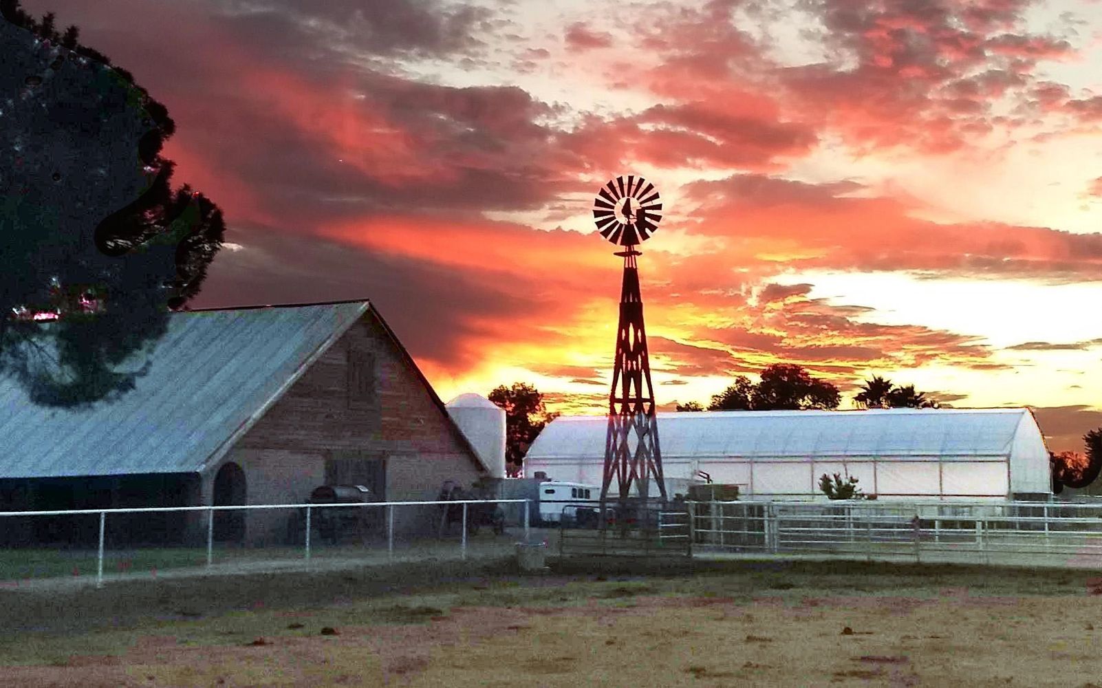 Rocking R Farms