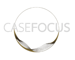 Case Focus